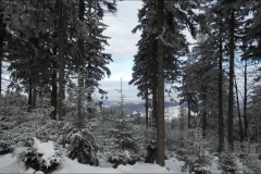 P1020538