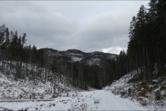 Zakopane-2020-00004