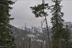 Zakopane-2020-00048